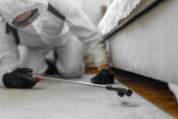 Professional Bed Bug Control technician working in Dale City, VA