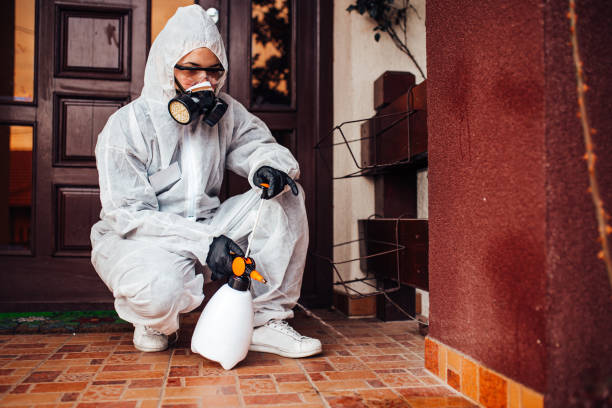 Reliable Bed Bug Control contractor in Dale City, VA by Nex Pest Control